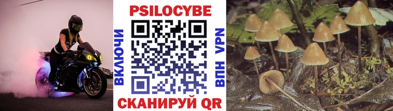 Галлюциногенные грибы ЛСД Саранск